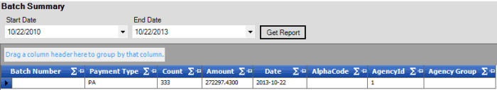 Batch Summary report