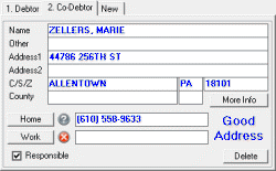 Work Form - Debtor tabs Work Form - Debtor tabs