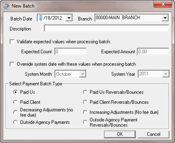 New Batch dialog box