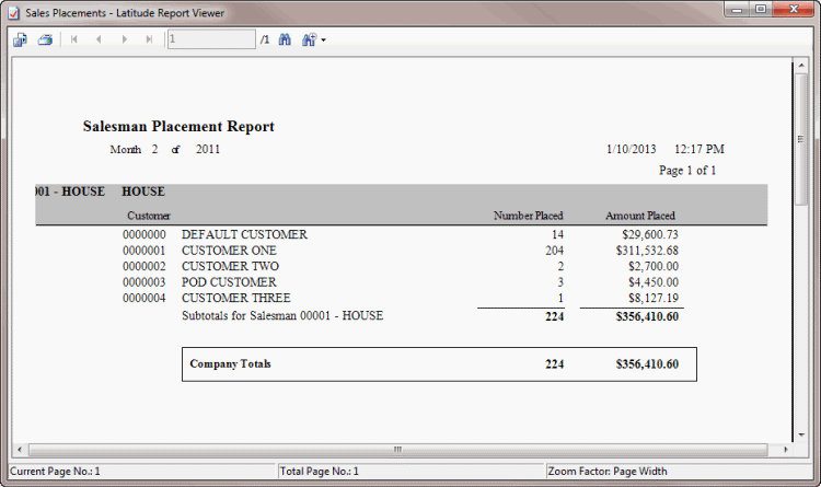 Salesman Placement Report sample