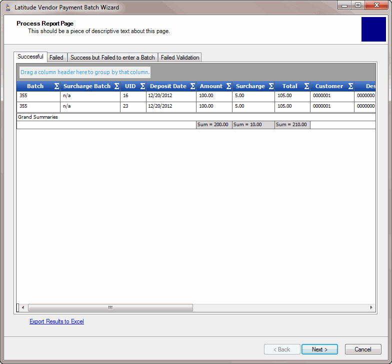 Process Report Page - Successful tab