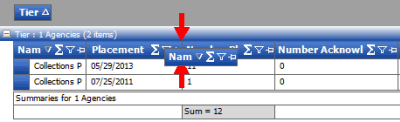 Arrange report columns