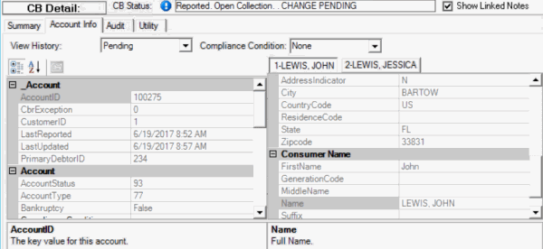 CB Detail panel - Account Info tab