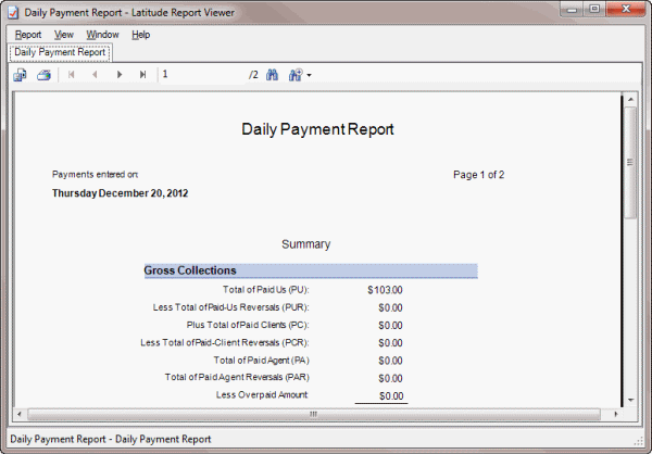 Daily Payment Report sample