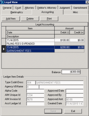 Legal View dialog box - Accounting tab