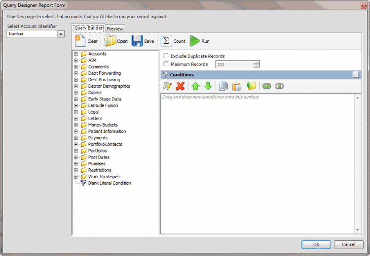 Query Designer Report Form window Query Designer Report Form window