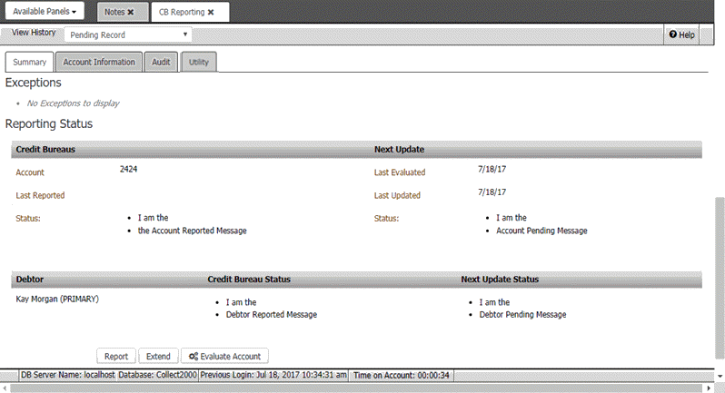 CB Reporting panel - Summary tab