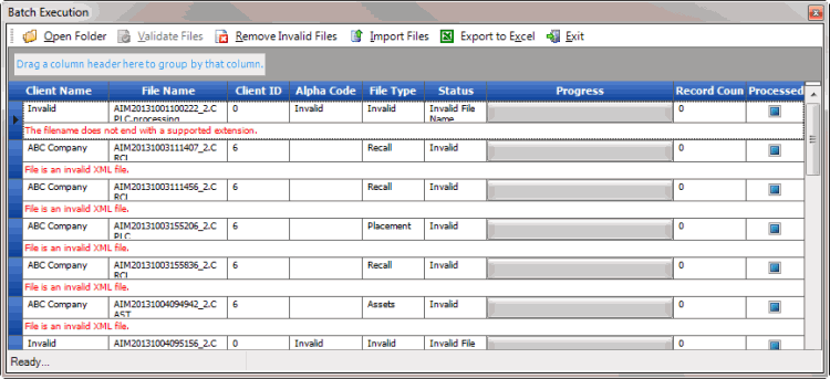 Batch Execution window - file validation