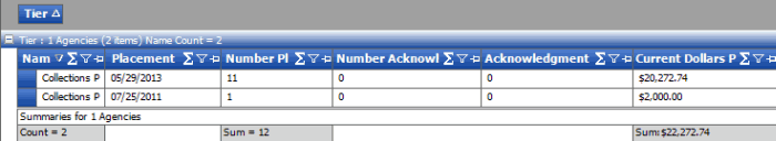 Summarized report data