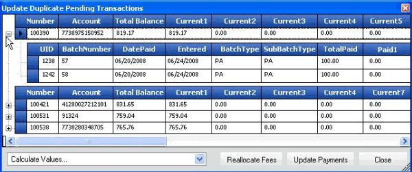 Update Duplicate Pending Payments window