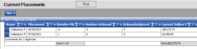 Current Placements report Current Placements report